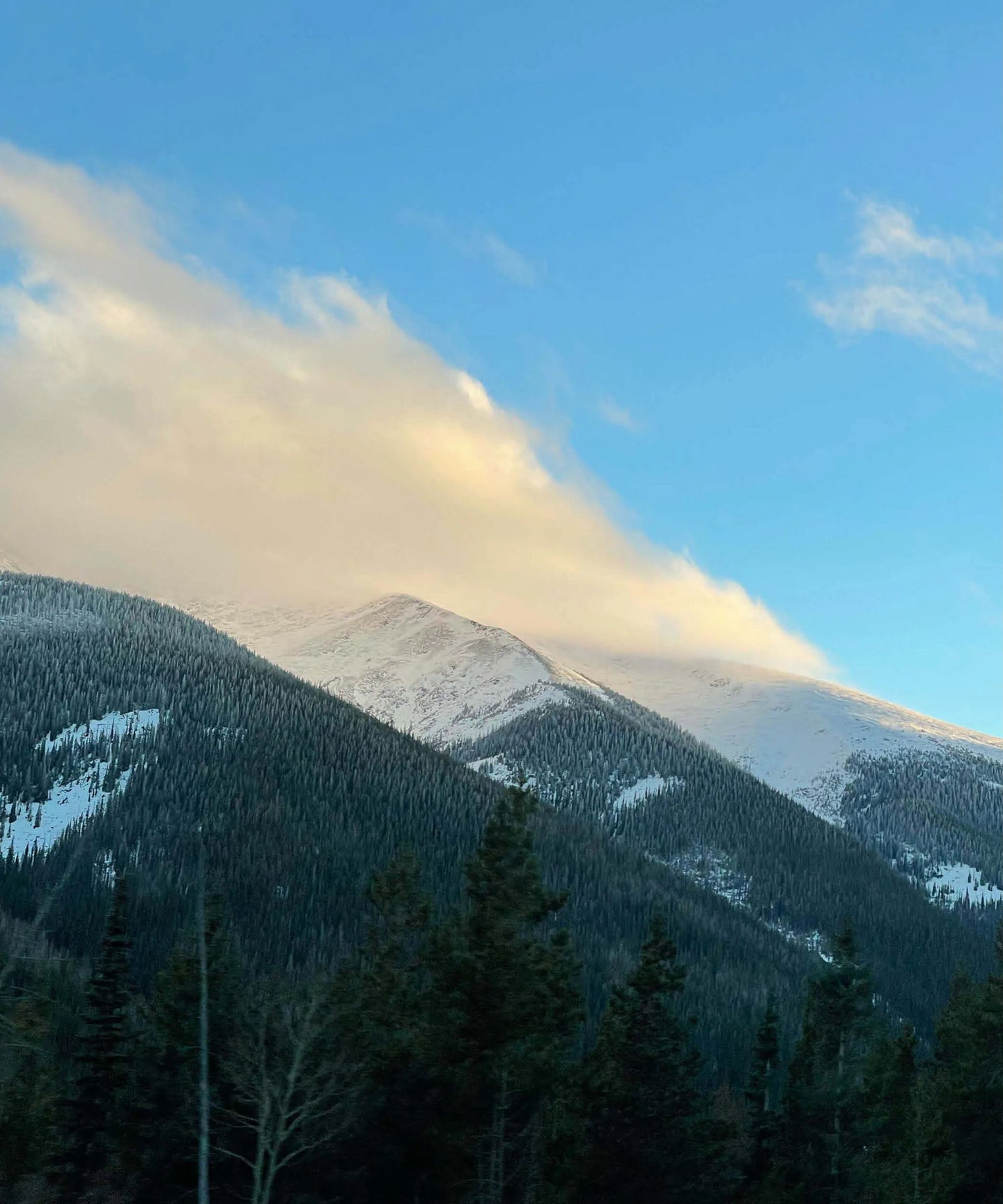 Surrounded by Inspiration