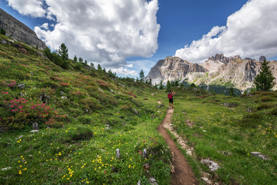 Top 5 Hiking Spots in the Rocky Mountains